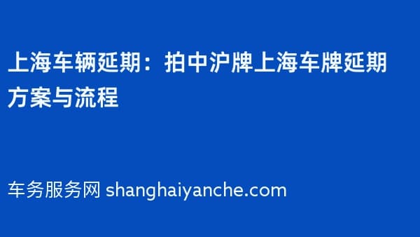上海车辆延期：拍中沪牌上海车牌延期方案与流程