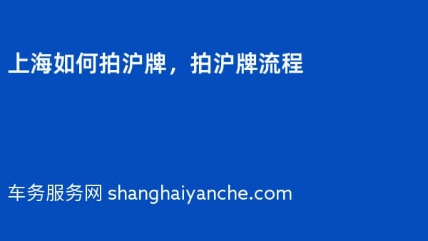 上海如何拍沪牌，拍沪牌流程
