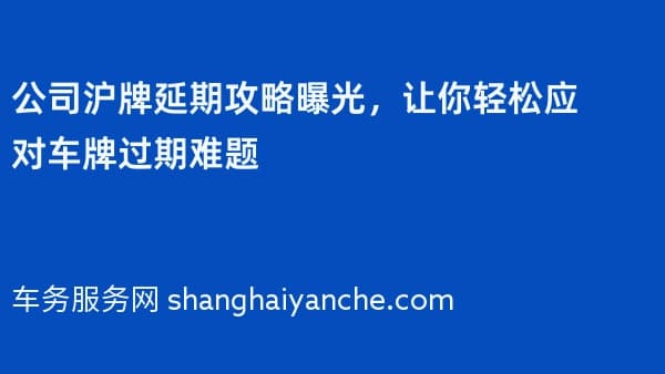 公司沪牌延期攻略曝光，让你轻松应对车牌过期难题