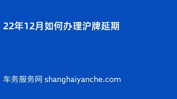 2026年12月如何办理沪牌延期