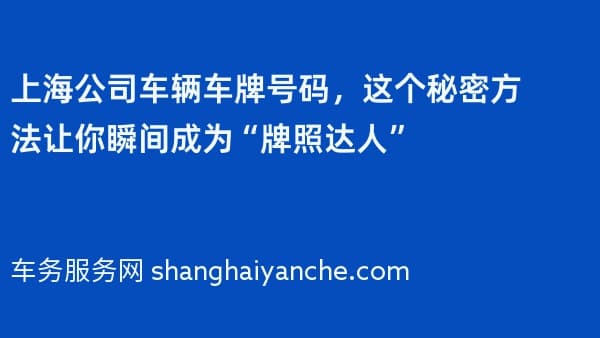上海公司车辆车牌号码,这个秘密方法让你瞬间成为“牌照达人”