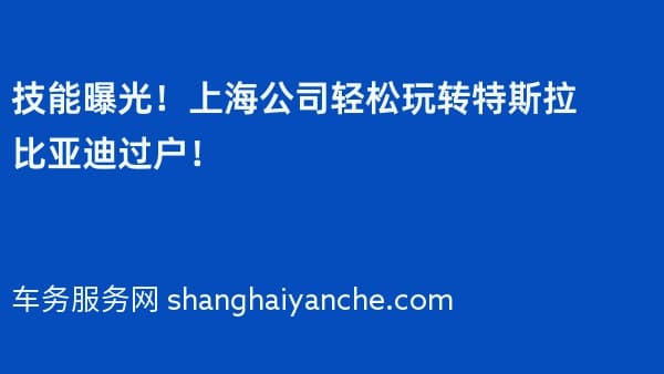 技能曝光!上海公司轻松玩转特斯拉比亚迪过户!