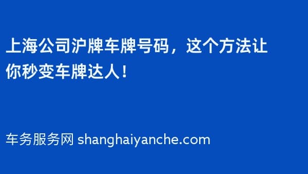 上海公司沪牌车牌号码,这个方法让你秒变车牌达人!