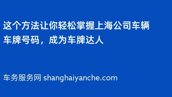 这个方法让你轻松掌握上海公司车辆车牌号码,成为车牌达人