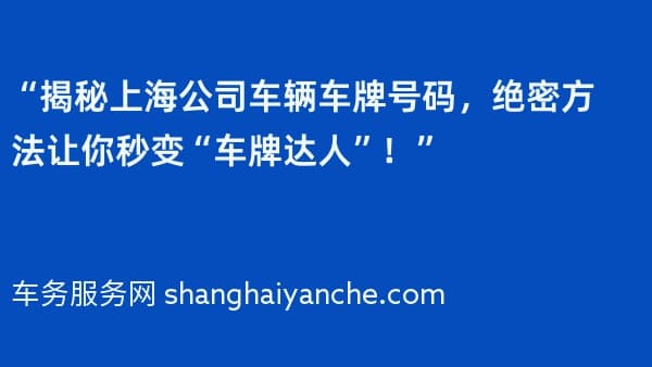 “揭秘上海公司车辆车牌号码,绝密方法让你秒变“车牌达人”!”