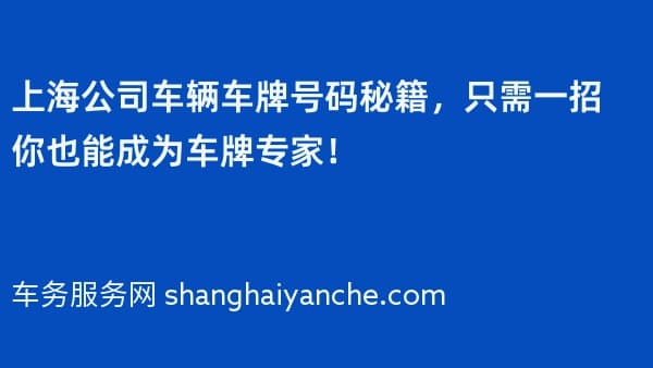上海公司车辆车牌号码秘籍,只需一招你也能成为车牌专家!