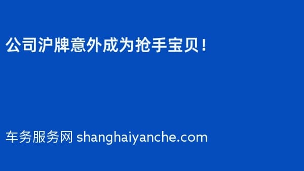 公司沪牌意外成为抢手宝贝!
