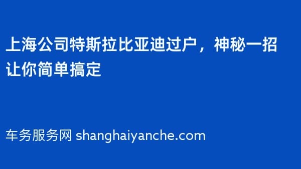 上海公司特斯拉比亚迪过户,神秘一招让你简单搞定
