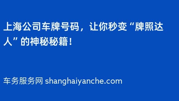 上海公司车牌号码,让你秒变“牌照达人”的神秘秘籍!