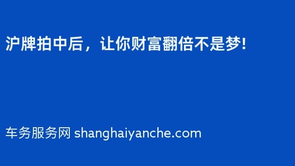 沪牌拍中后,让你财富翻倍不是梦!
