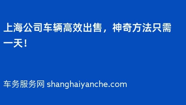 上海公司车辆高效出售,神奇方法只需一天!