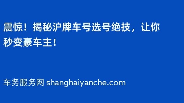 震惊!揭秘沪牌车号选号绝技,让你秒变豪车主!