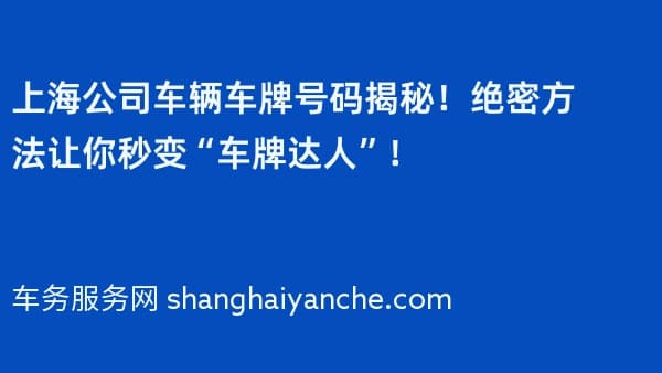 上海公司车辆车牌号码揭秘!绝密方法让你秒变“车牌达人”!
