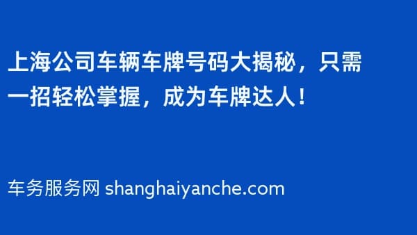 上海公司车辆车牌号码大揭秘,只需一招轻松掌握,成为车牌达人!