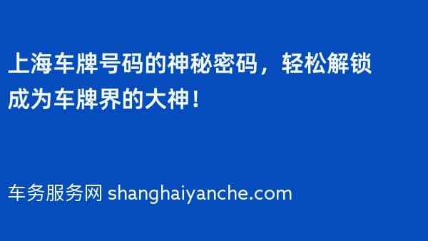 上海车牌号码的神秘密码,轻松解锁成为车牌界的大神!