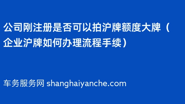 公司刚注册是否可以拍沪牌额度大牌（企业沪牌如何办理流程手续）