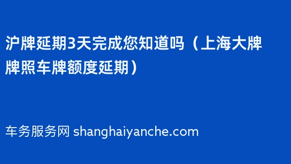 沪牌延期3天完成您知道吗（2024年上海大牌牌照车牌额度延期）