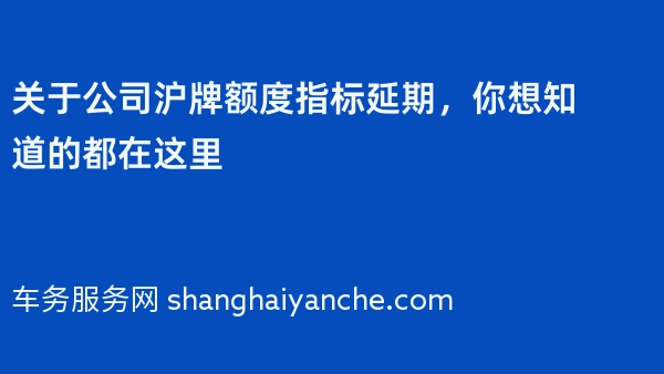 关于公司沪牌额度指标延期，你想知道的都在这里