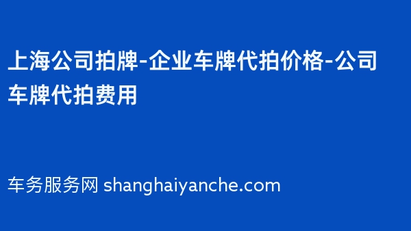 上海公司拍牌-企业车牌代拍价格-公司车牌代拍费用