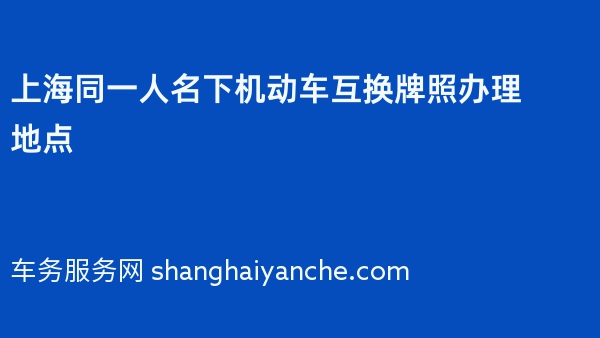 2024年上海同一人名下机动车互换牌照办理地点