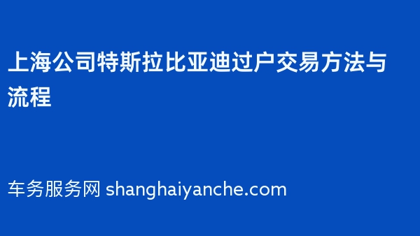上海公司特斯拉比亚迪过户交易方法与流程
