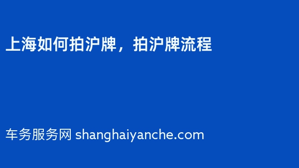 上海如何拍沪牌，拍沪牌流程