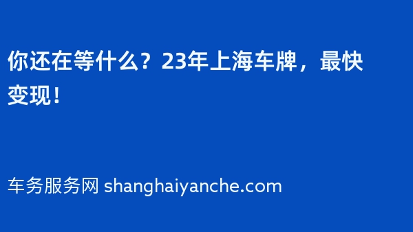 你还在等什么？23年上海车牌，最快变现！