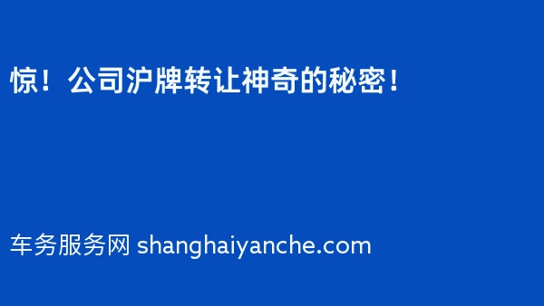 惊！公司沪牌转让神奇的秘密！