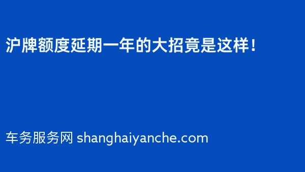 2024年沪牌额度延期一年的大招竟是这样！