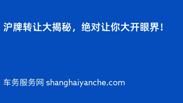 沪牌转让大揭秘，绝对让你大开眼界！