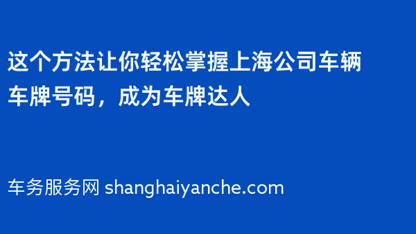 这个方法让你轻松掌握上海公司车辆车牌号码，成为车牌达人