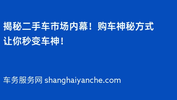 揭秘二手车市场内幕！购车神秘方式让你秒变车神！