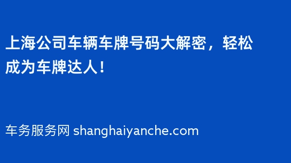 上海公司车辆车牌号码大解密，轻松成为车牌达人！
