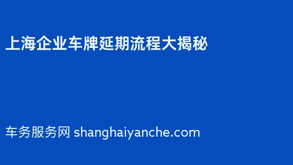 上海企业车牌延期流程大揭秘