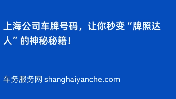 上海公司车牌号码，让你秒变“牌照达人”的神秘秘籍！