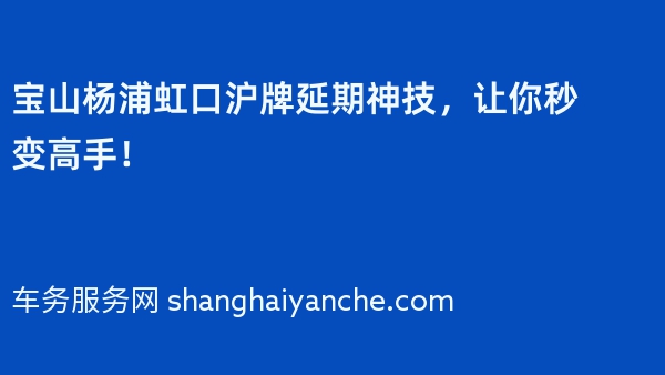 宝山杨浦虹口沪牌延期神技，让你秒变高手！