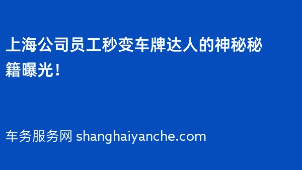 上海公司员工秒变车牌达人的神秘秘籍曝光！