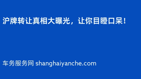 沪牌转让真相大曝光，让你目瞪口呆！