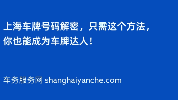 上海车牌号码解密，只需这个方法，你也能成为车牌达人！