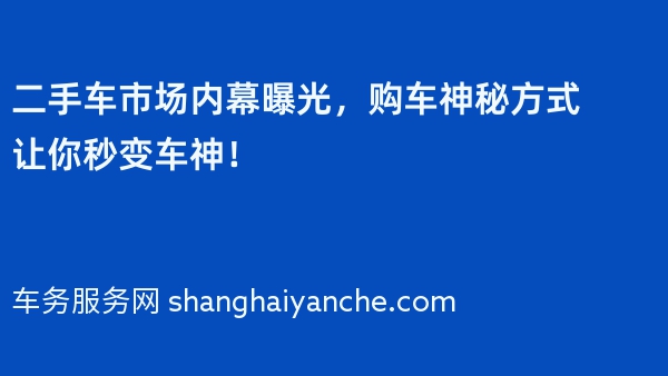二手车市场内幕曝光，购车神秘方式让你秒变车神！