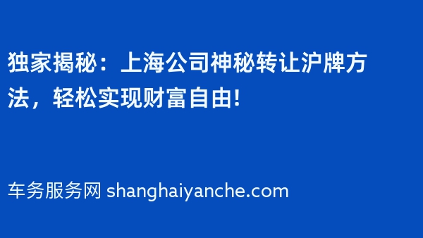 独家揭秘：上海公司神秘转让沪牌方法，轻松实现财富自由!