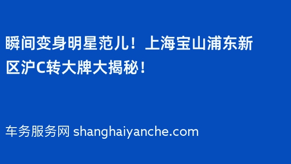 瞬间变身明星范儿！上海宝山浦东新区沪C转大牌大揭秘！