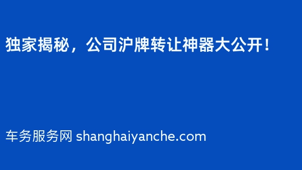 独家揭秘，公司沪牌转让神器大公开！
