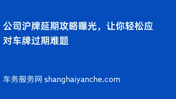 公司沪牌延期攻略曝光，让你轻松应对车牌过期难题