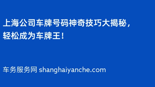 上海公司车牌号码神奇技巧大揭秘，轻松成为车牌王！