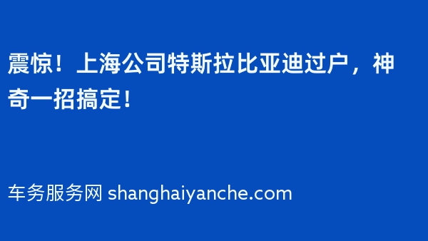 震惊！上海公司特斯拉比亚迪过户，神奇一招搞定！