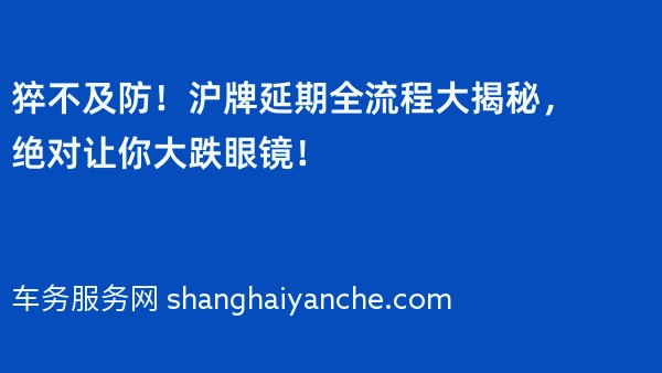 猝不及防！沪牌延期全流程大揭秘，绝对让你大跌眼镜！