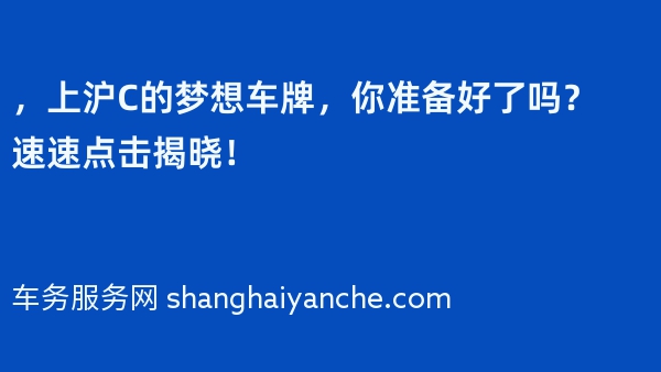 2024年，上沪C的梦想车牌，你准备好了吗？速速点击揭晓！