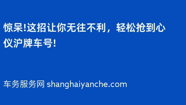 惊呆!这招让你无往不利，轻松抢到心仪沪牌车号!