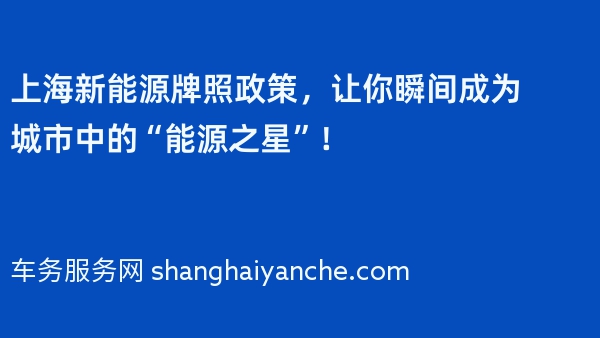 2024年上海新能源牌照政策，让你瞬间成为城市中的“能源之星”！